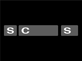 Swiss Cinematographers Society (SCS)