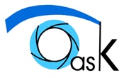 Logo ASK 175