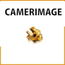 (2014) Camerimage- Imago President’s Perspective.