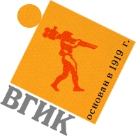 logo vgik0